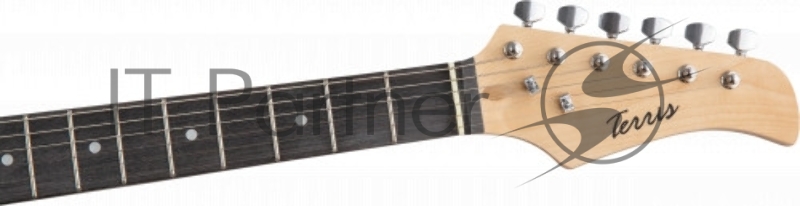 TERRIS TPACK-1 SB комплект электрогитара, комбик, чехол, стойка, тюнер цвет санберст