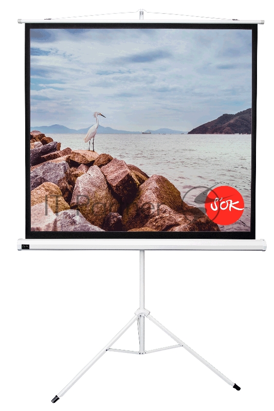 Экран Cinema SOK SCPST-220x220 1:1 напольный, на треноге, Matt White, белый корпус