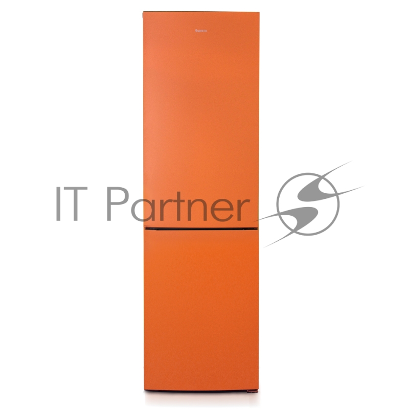 ХОЛОДИЛЬНИК-МОРОЗИЛЬНИК ТИПА I БИРЮСА-T6049