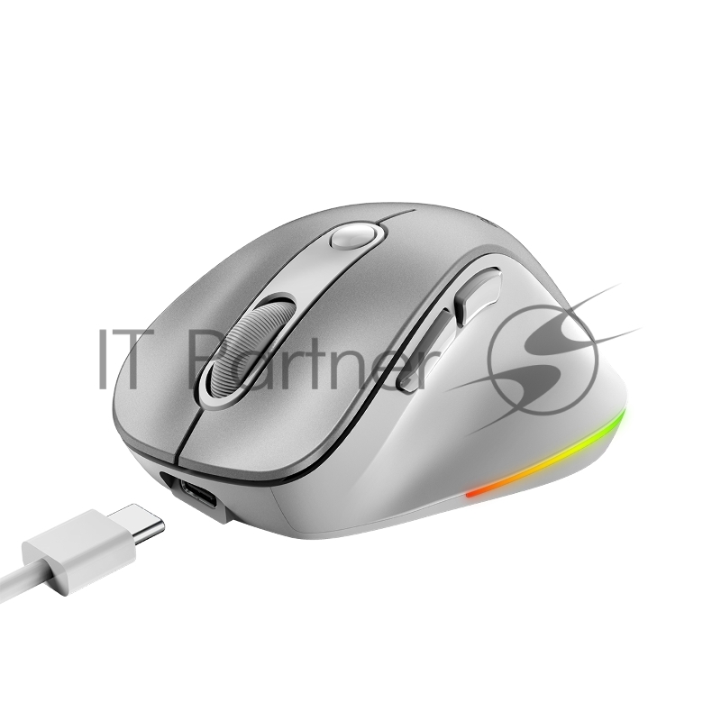 Мышь беспроводная Genius Ergo 9000S Pro серебристый, 2400 dpi, радиоканал, Bluetooth, USB, кнопки - 6