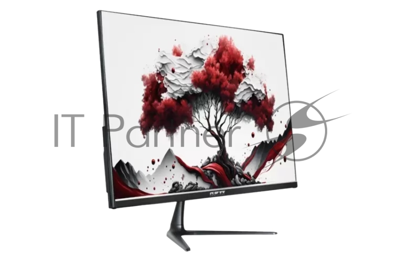 Монитор 23.8 RDW Computers RDW 2416I IPS 1920x1080 75Hz 5мс 16:9 250nit 1xHDMI1xVGA черный