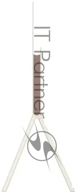 Телевизор LG 48LX1T6LA