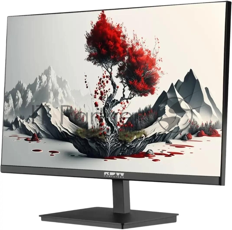 Монитор RDW Computers RDW2401K черный 23.8 IPS 4ms HDMI M/M HAS Piv 350cd 178гр/178гр 1920x1080 120Hz VGA DP FHD (RUS)