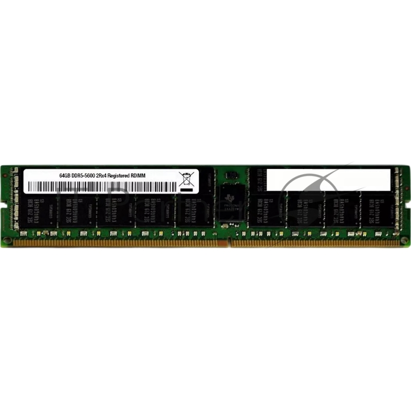 Модуль памяти DELL 64GB (1x64GB) RDIMM DDR5 5600MT/s 2Rx4 ECC Reg Memory