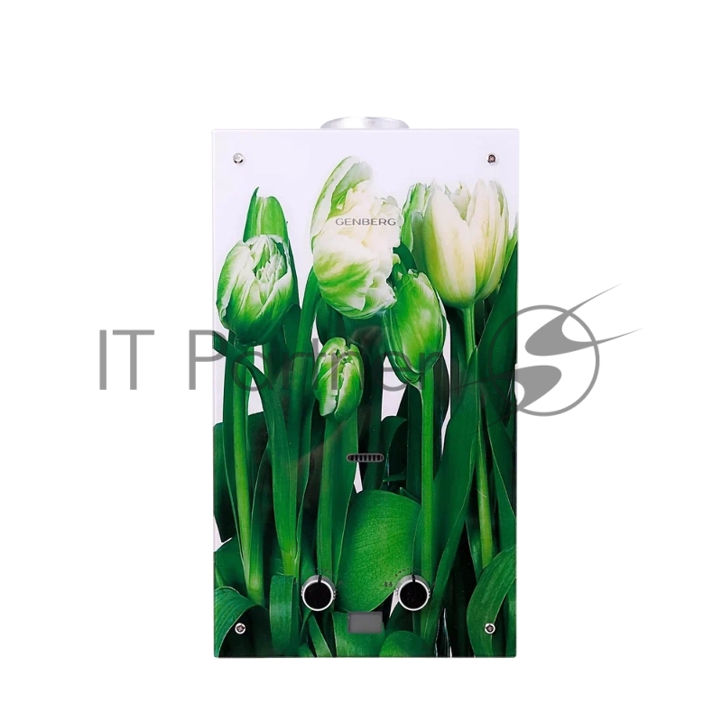 Водонагреватель GENBERG 210.01 ДЕКОР-ЕСО Тюльпаны