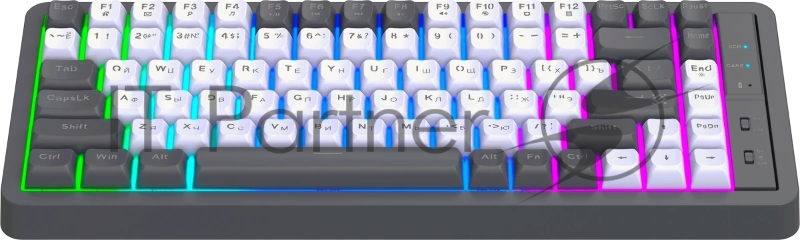 Клавиатура DEFENDER (45325) Maro GK-325 RU,белый/серый