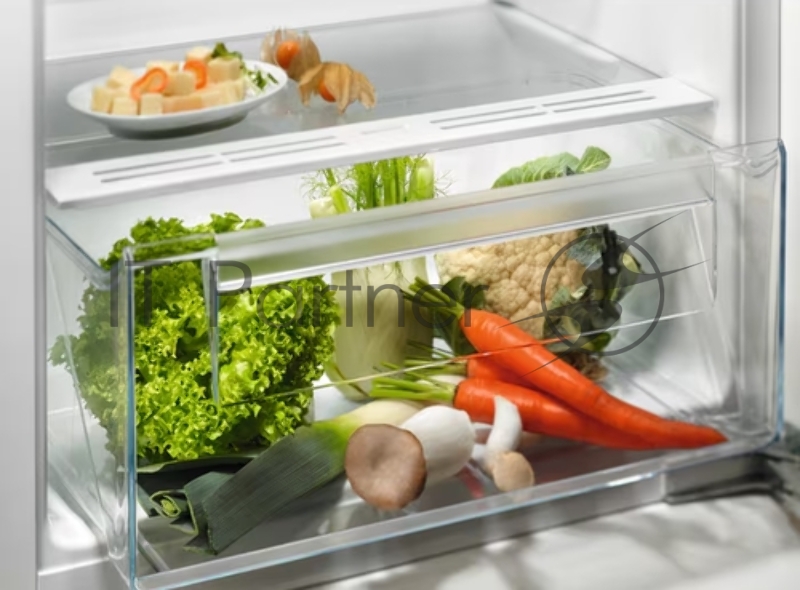 Встраиваемый холодильник Electrolux LRB3AE12S, механическое управление, полезный объём: 208 л, перенавешиваемые двери, 54.8x54.9x121.8 см, белый